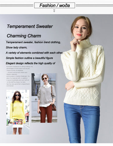 Eternal Show Turtleneck Women Sweaters And Pullovers Loose Female Sweater Knitted Stripe Pull Winter Women Tops 70N0469 - RELEVAZA