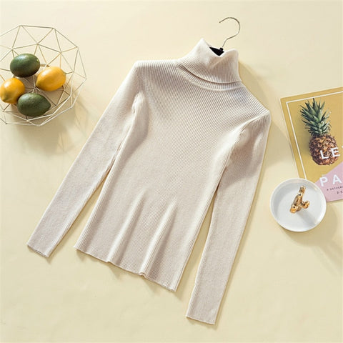 Knit Sweater Women Turtleneck Casual Pure Cashmere Pullover Autumn Winter Solid Long Sleeve Slim-jumper Soft Tops Pull Femme - RELEVAZA